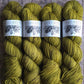 D'anjou - Spruce DK