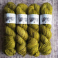 D'anjou - Spruce DK